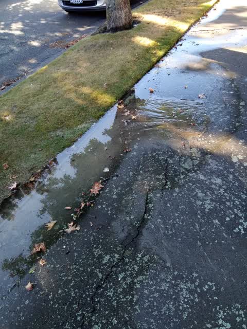 Roading/Streets, a report photo