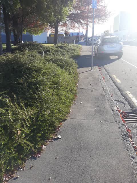 Roading/Streets, a report photo
