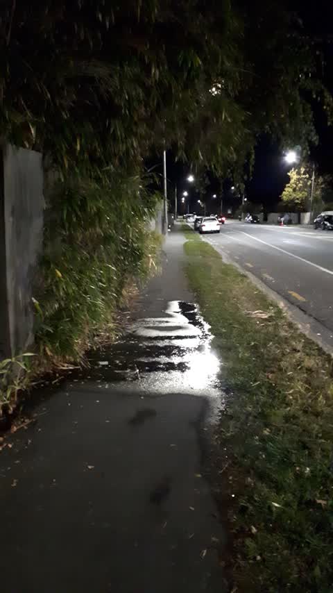 Water Leak, a report photo