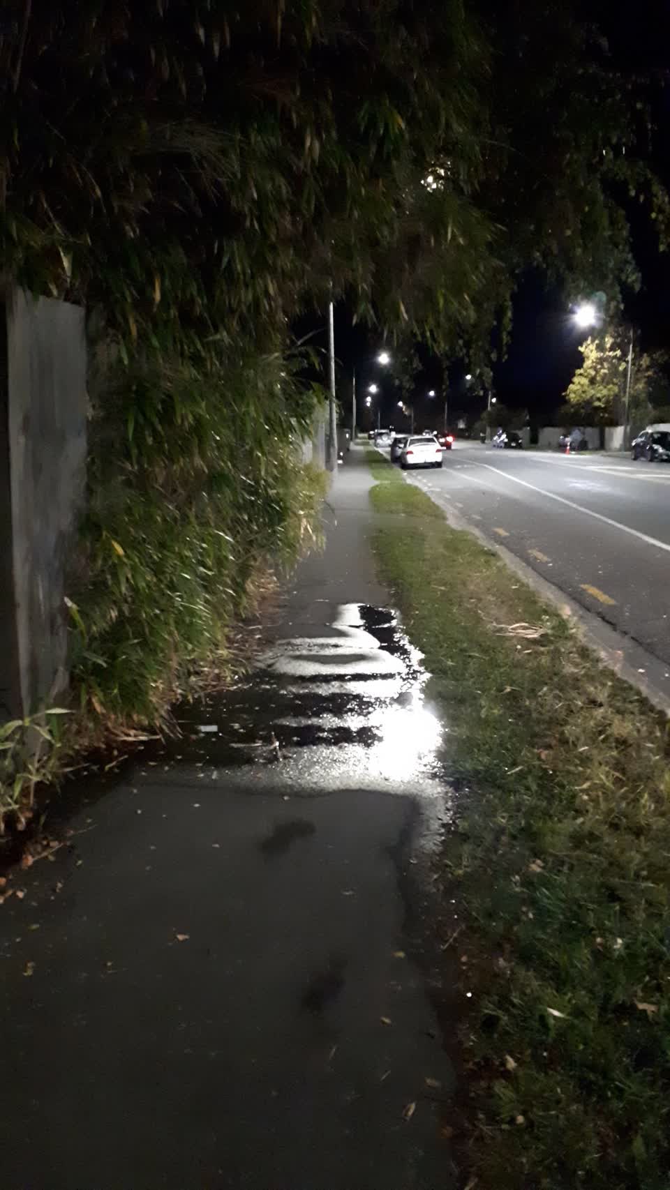 The photograph attached to this water leak report