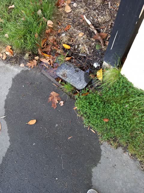 Water Leak, a report photo