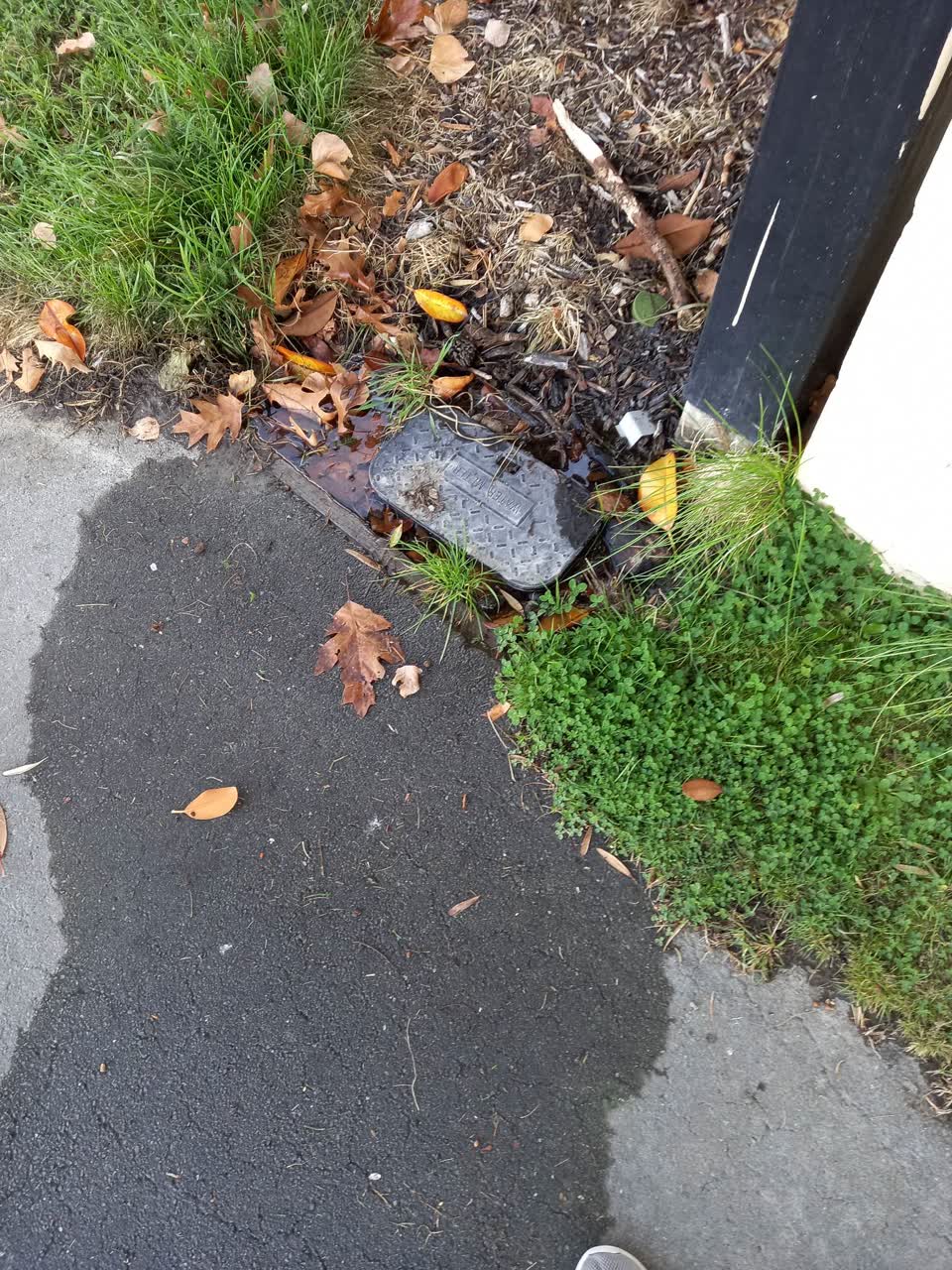The photograph attached to this water leak report