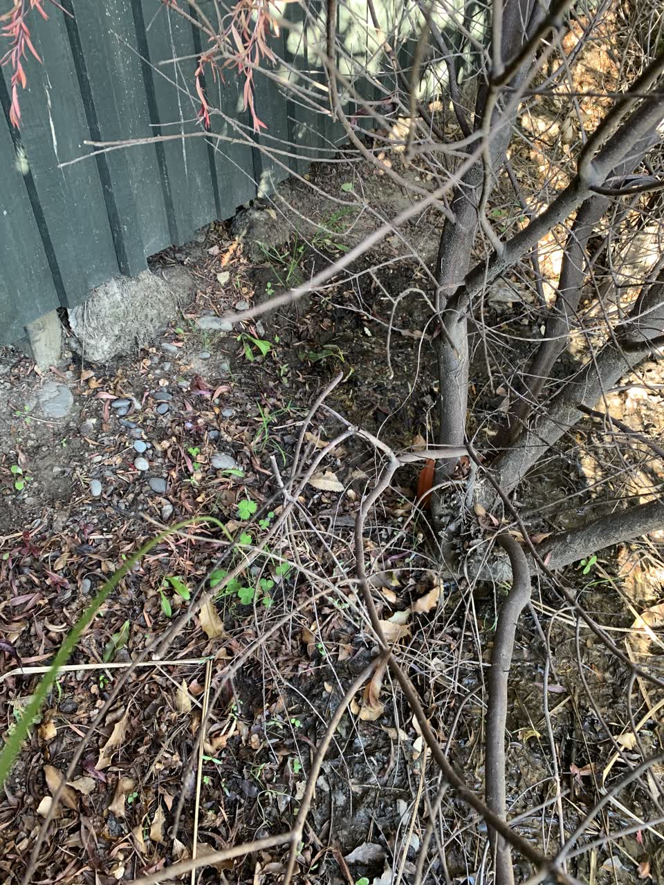 The photograph attached to this water leak report
