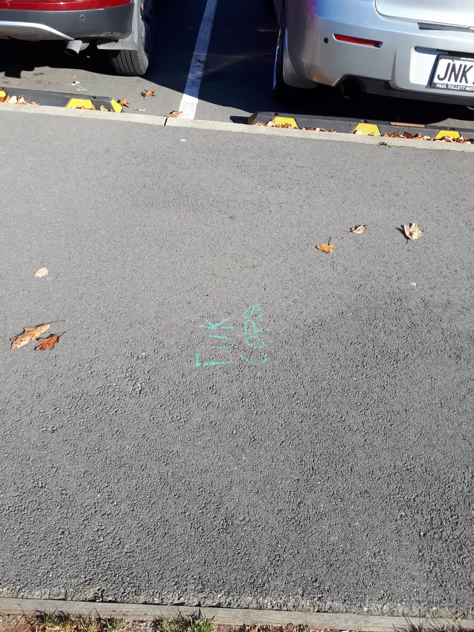 The photograph attached to this graffiti report