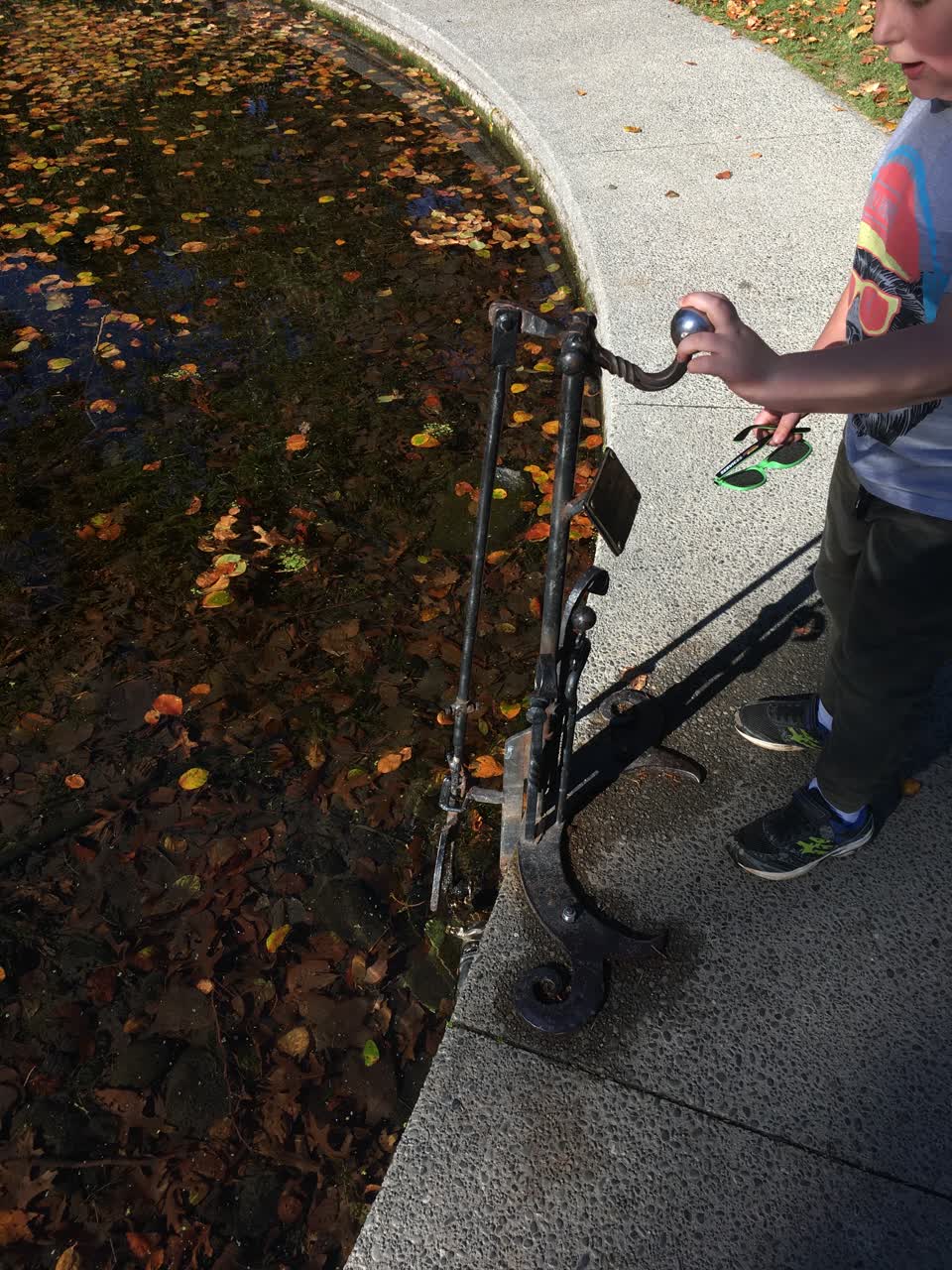 The photograph attached to this parks report