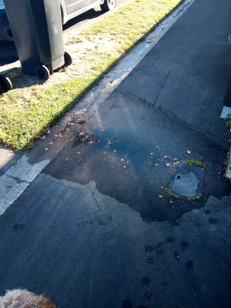 The photograph attached to this water leak report