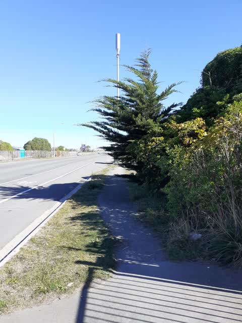Parks, a report photo