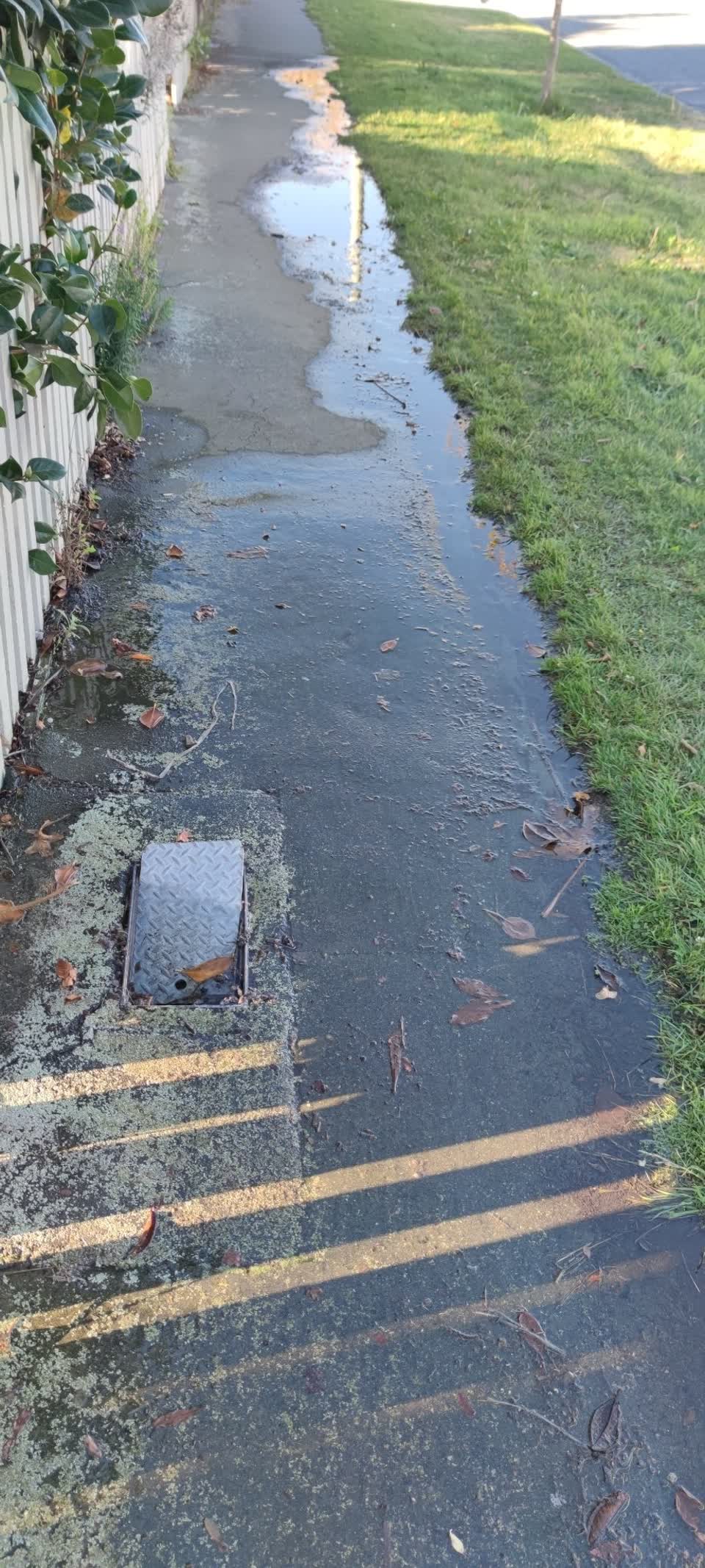 The photograph attached to this water supply report