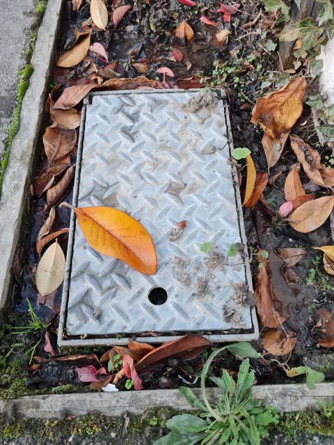 Water Leak, a report photo