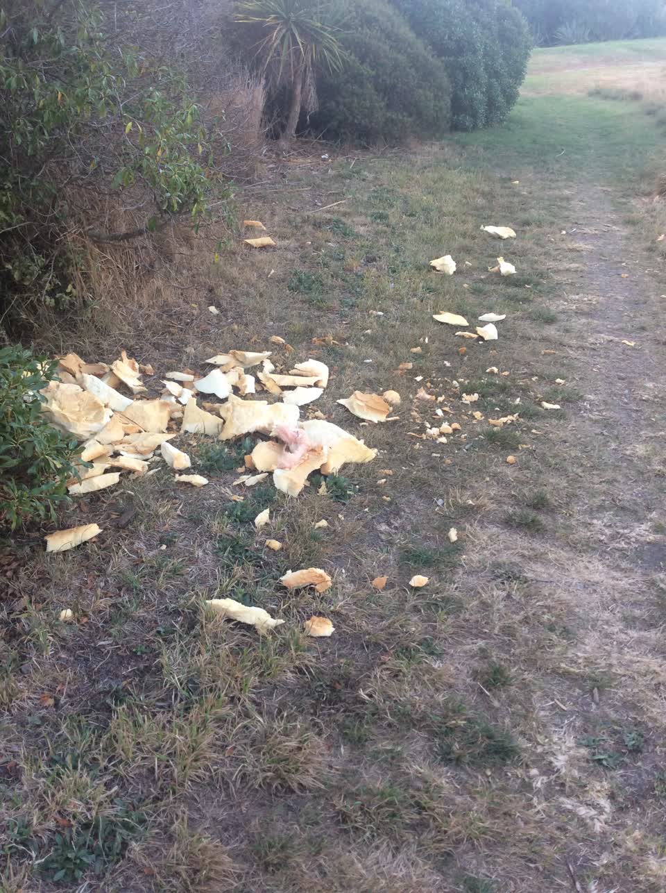 The photograph attached to this rubbish/recycling report