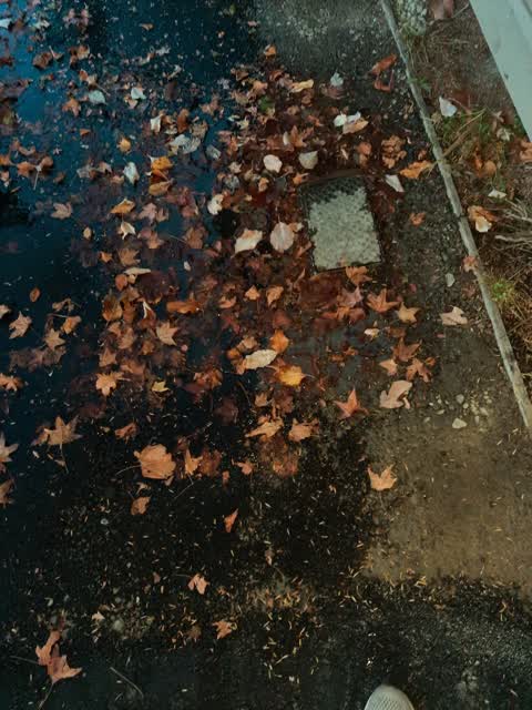 Water Leak, a report photo