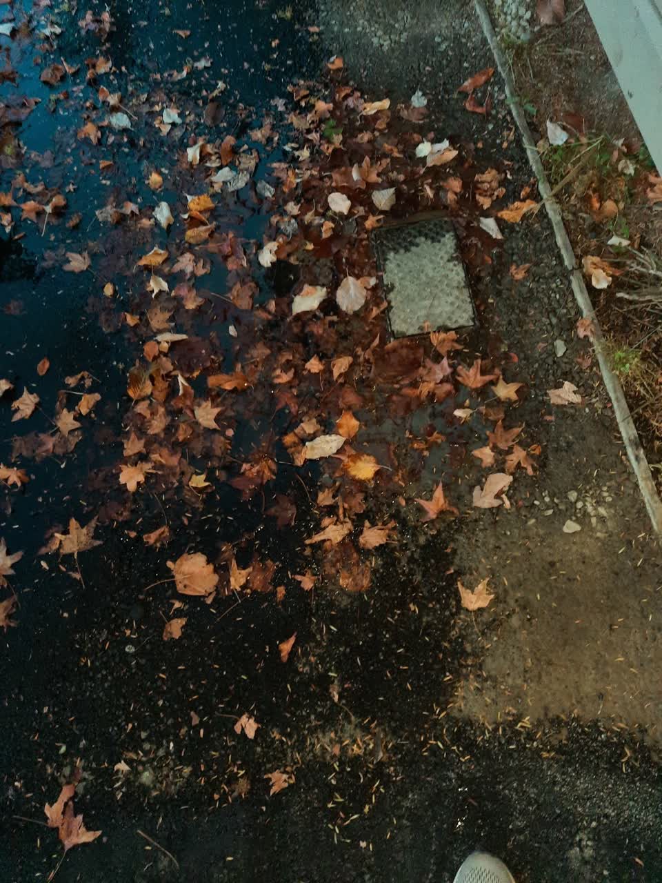 The photograph attached to this water leak report