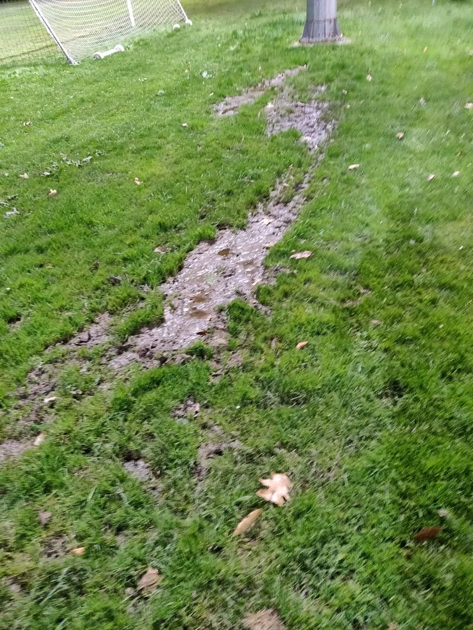 The photograph attached to this parks report