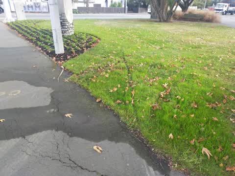 Water Leak — a report photo