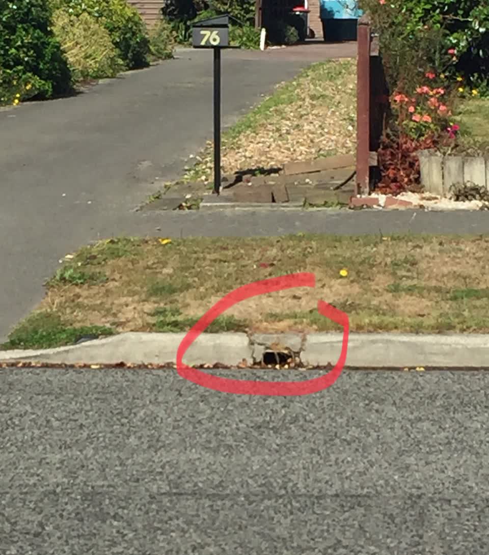 The photograph attached to this water leak report