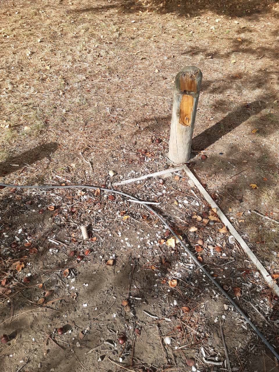 The photograph attached to this parks report