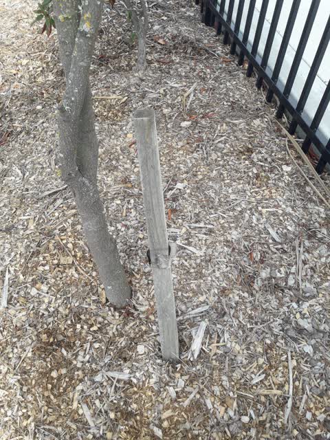 Parks, a report photo