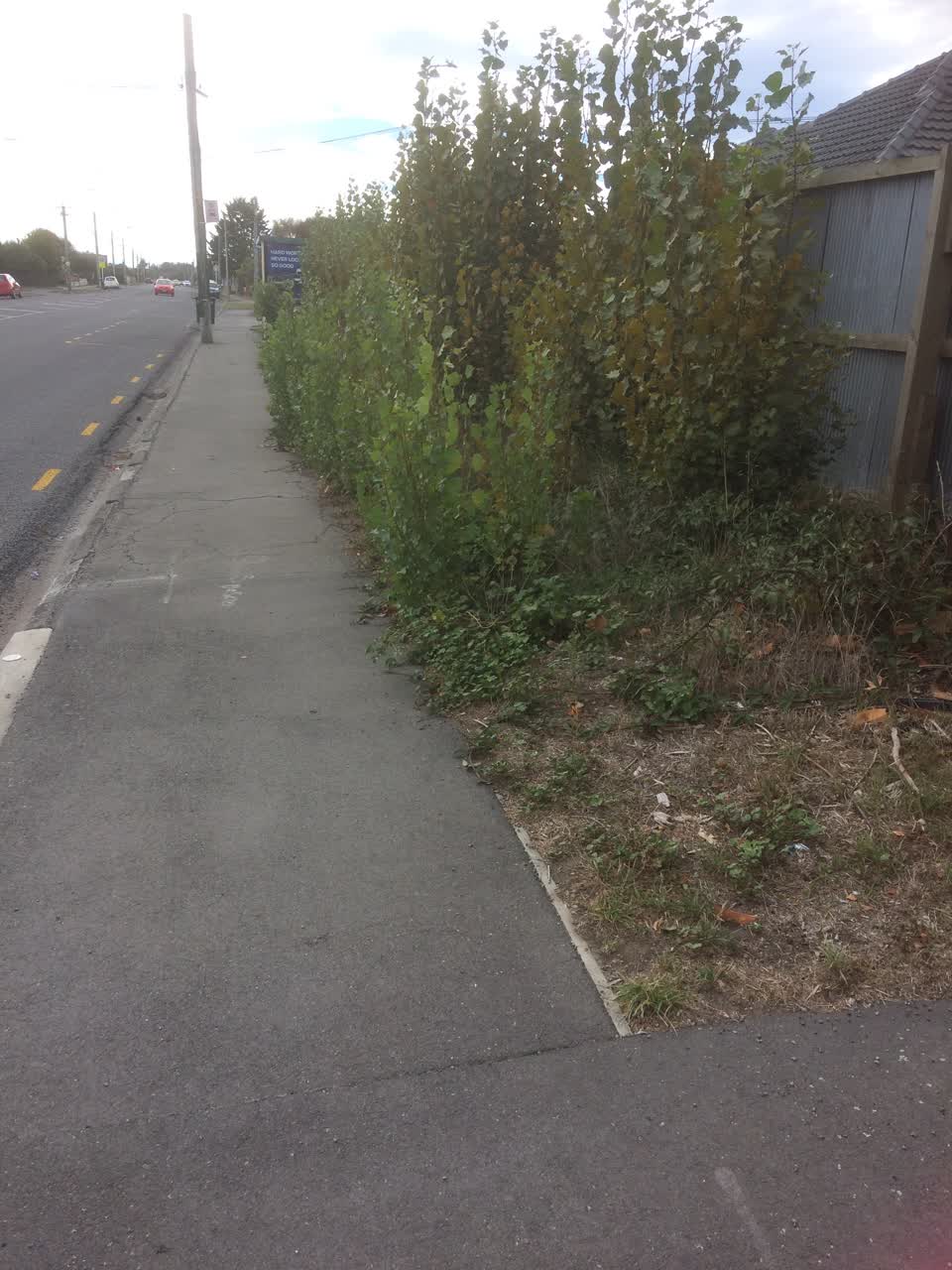 The photograph attached to this parks report