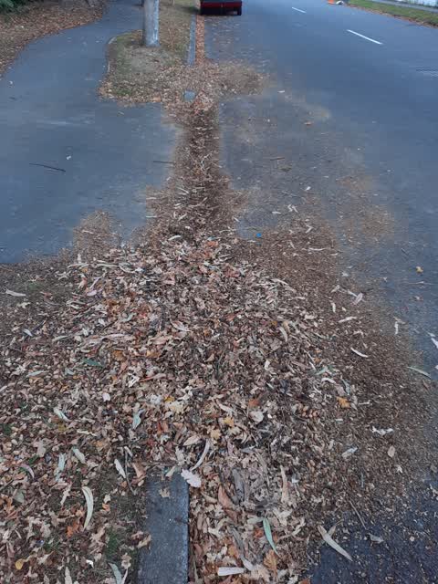 Wastewater/Stormwater, a report photo
