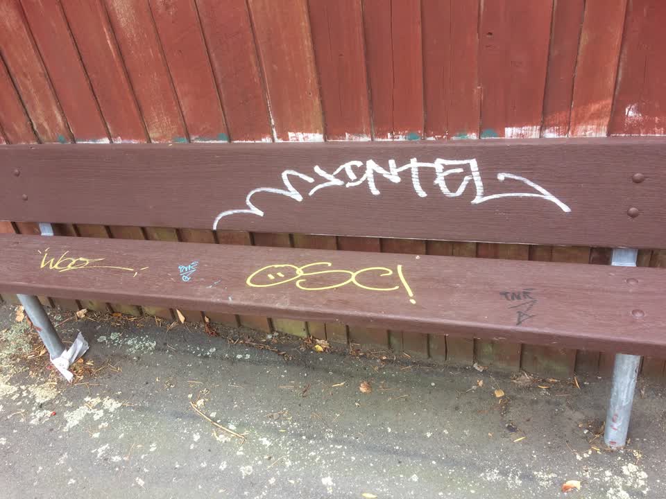 The photograph attached to this graffiti report
