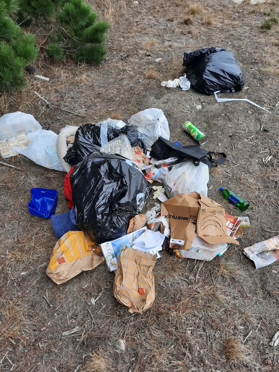The photograph attached to this rubbish/recycling report