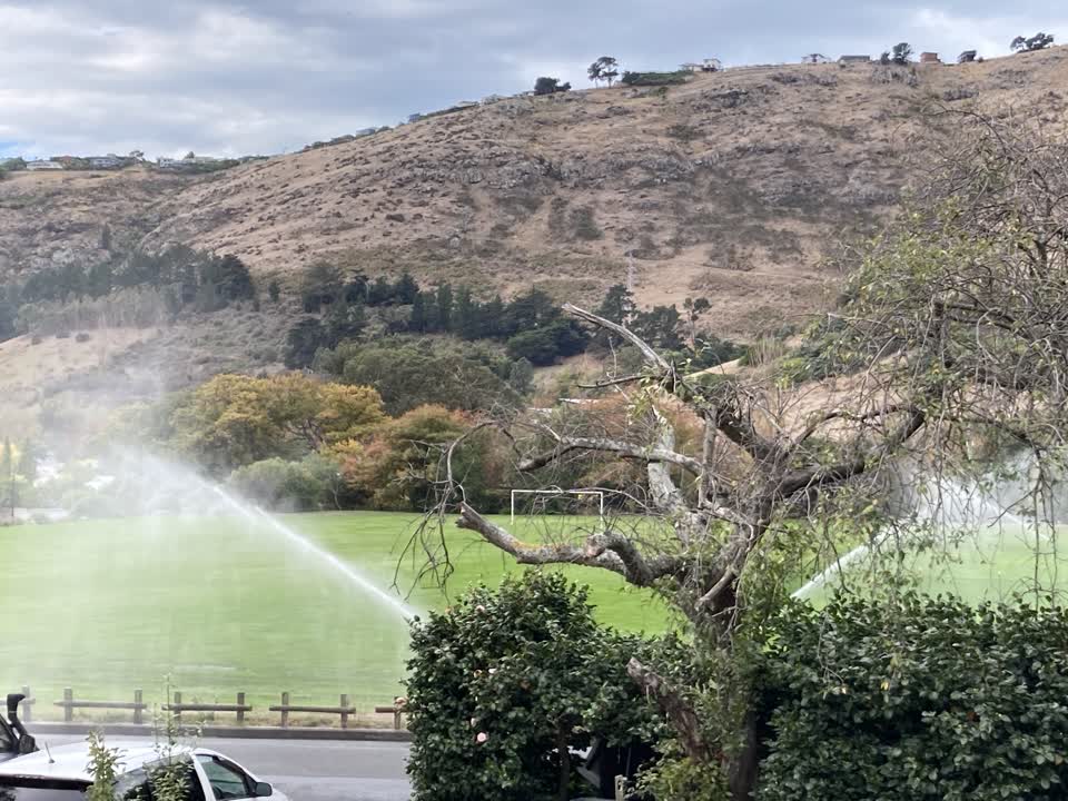 The photograph attached to this parks report