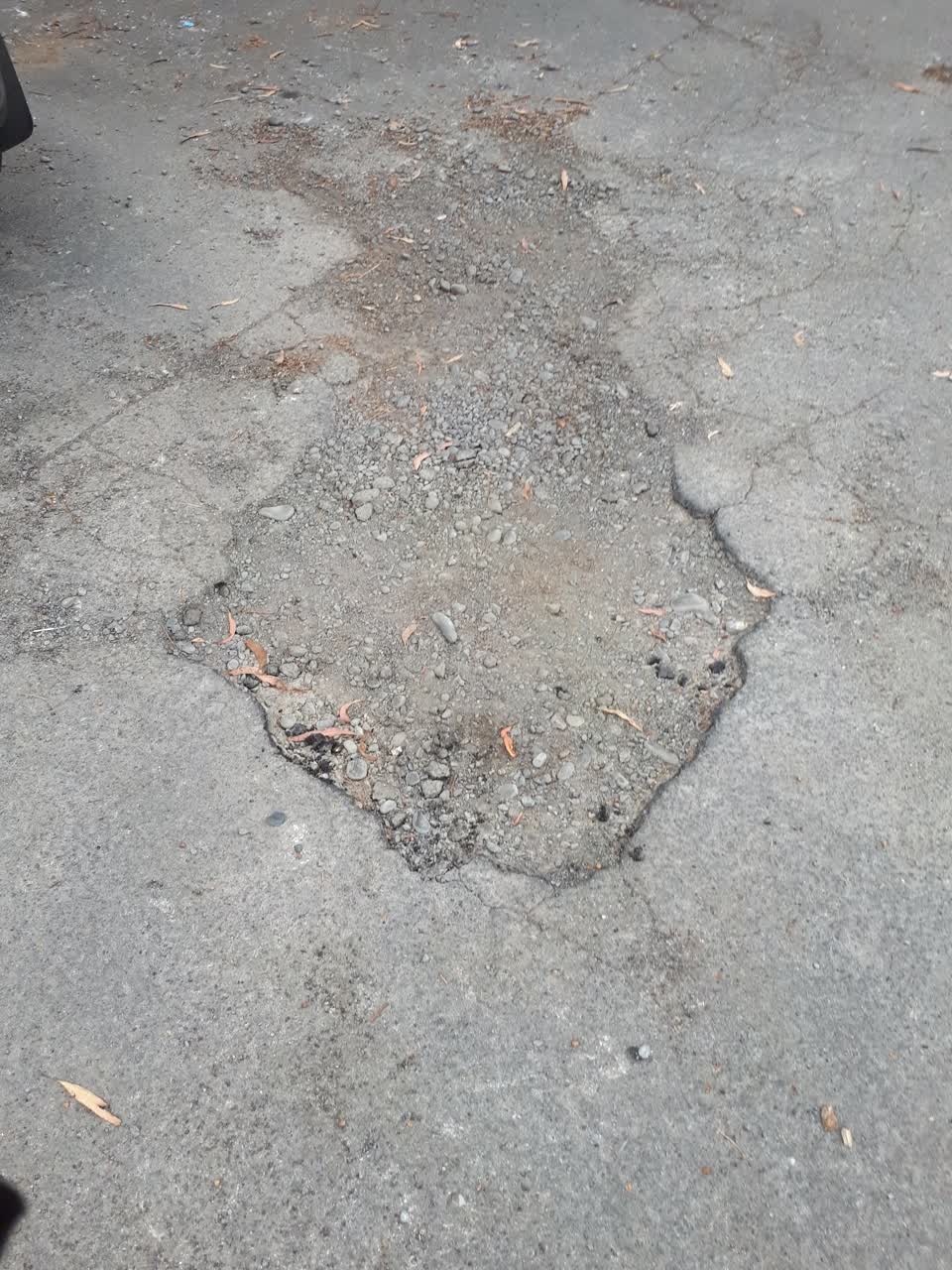 The photograph attached to this parks report