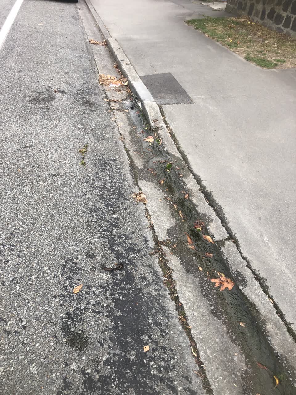 The photograph attached to this water leak report
