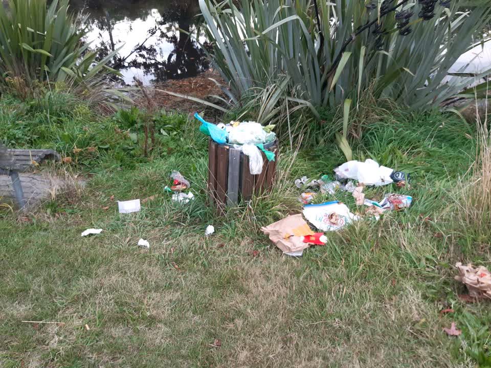 The photograph attached to this rubbish/recycling report