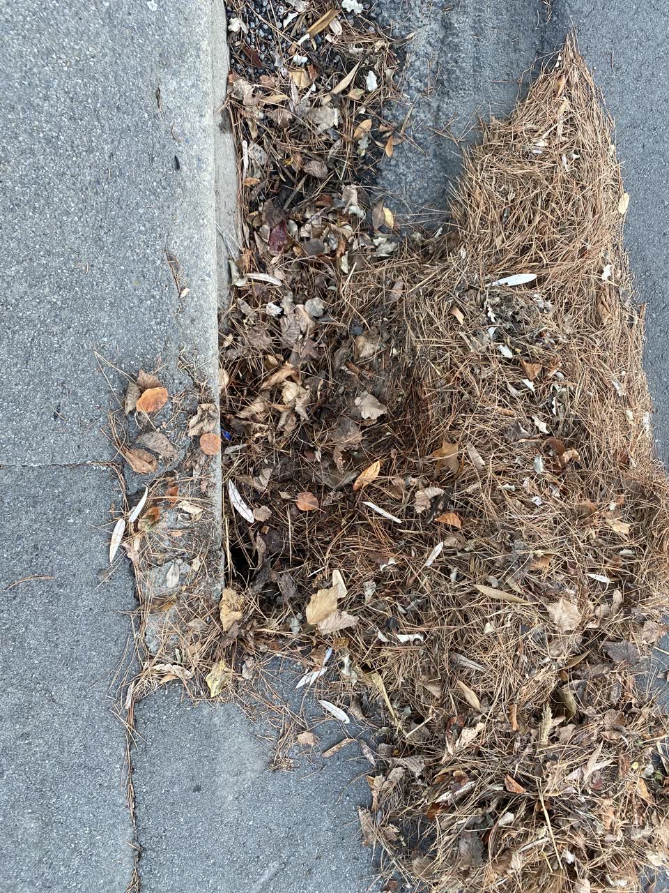 The photograph attached to this wastewater/stormwater report
