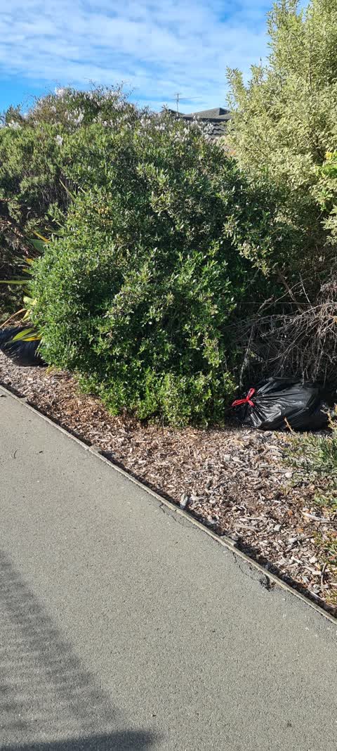 Rubbish/Recycling, a report photo