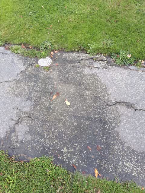 Water Leak, a report photo