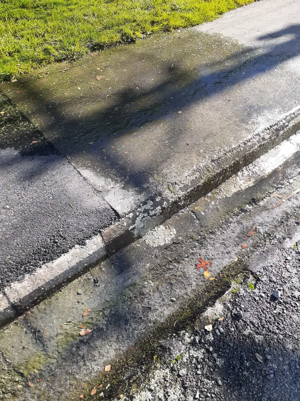 The photograph attached to this water leak report