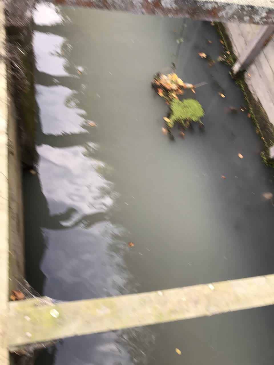 The photograph attached to this general request report