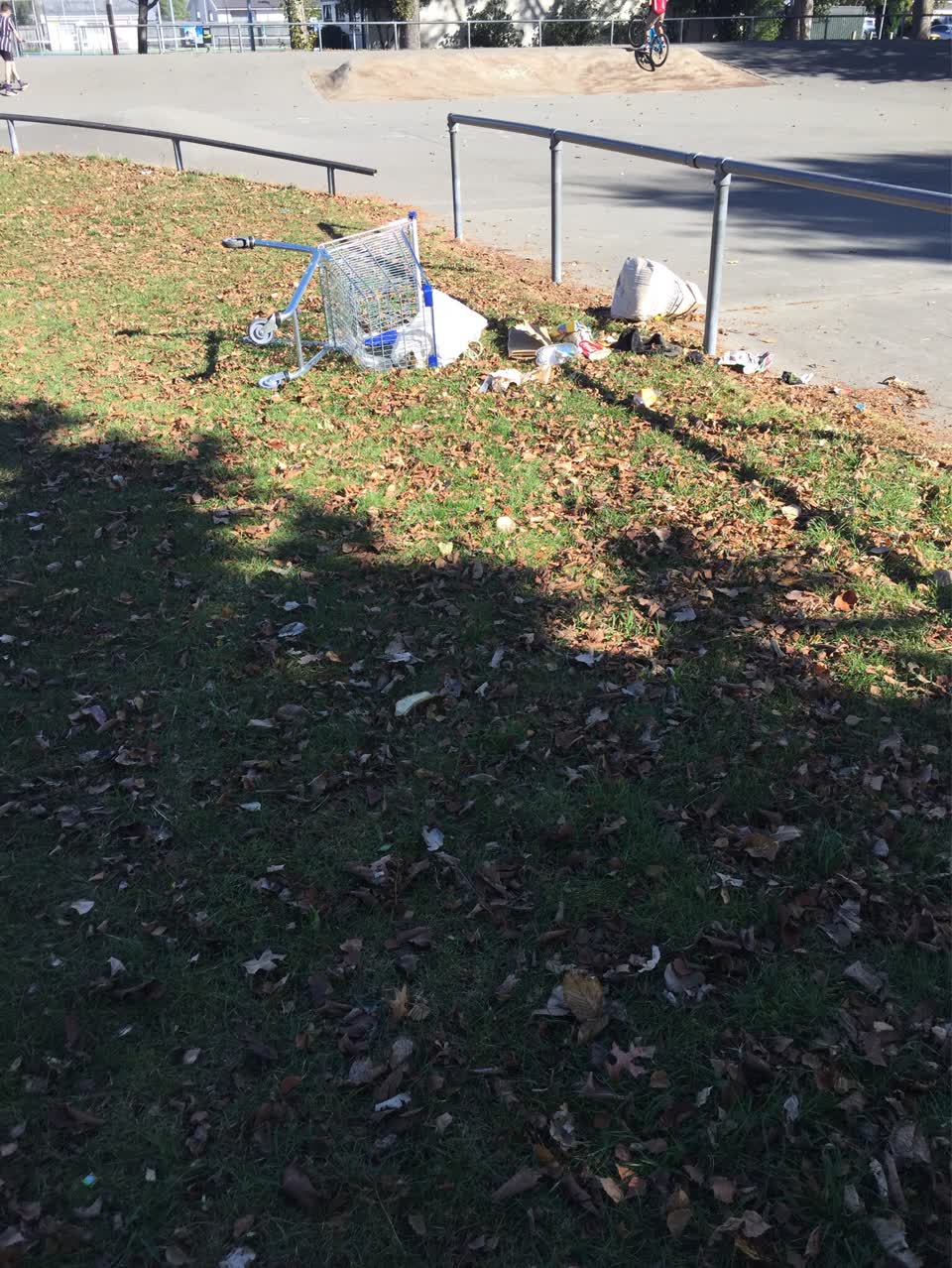 The photograph attached to this parks report