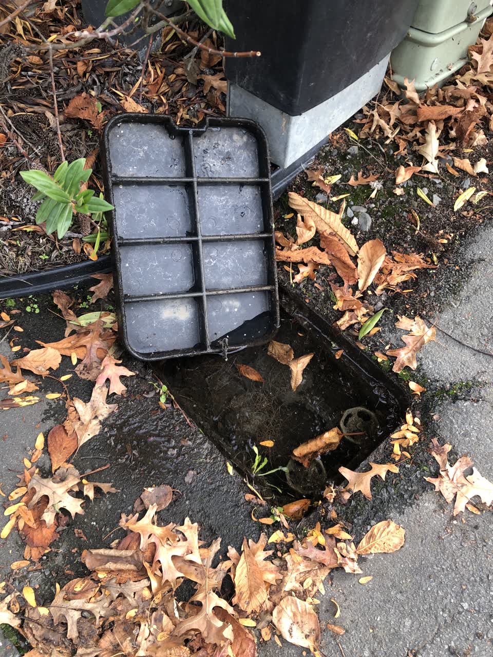 The photograph attached to this water leak report
