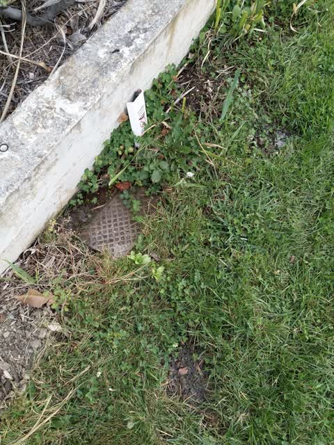 Water Leak, a report photo