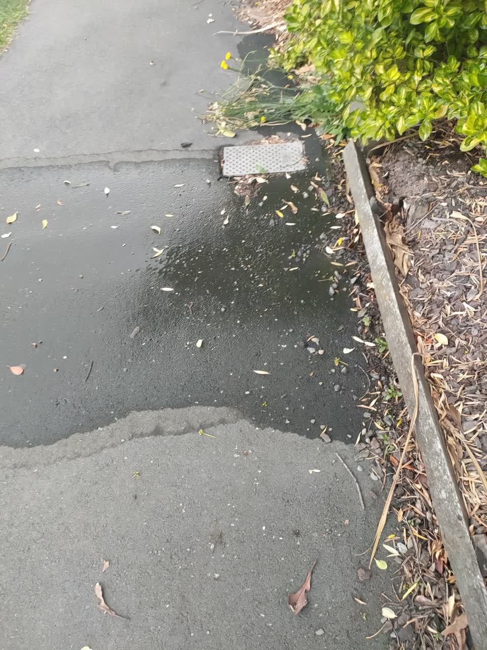 The photograph attached to this water leak report