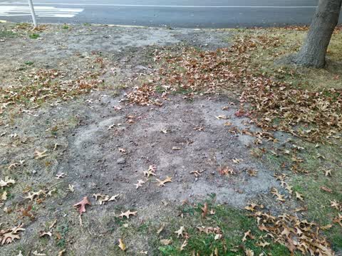 Roading/Streets, a report photo