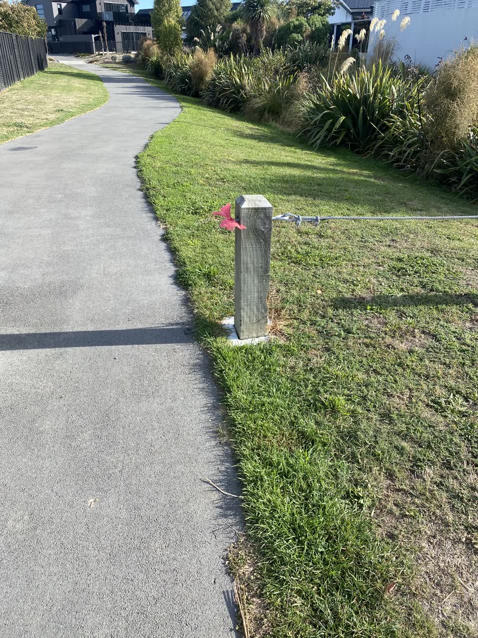 The photograph attached to this parks report