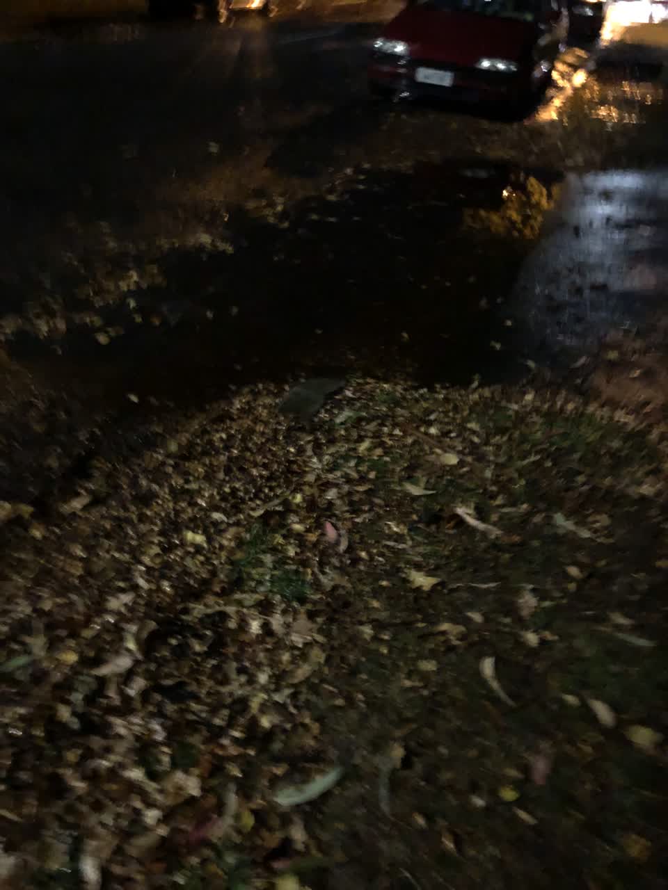 The photograph attached to this flooding report