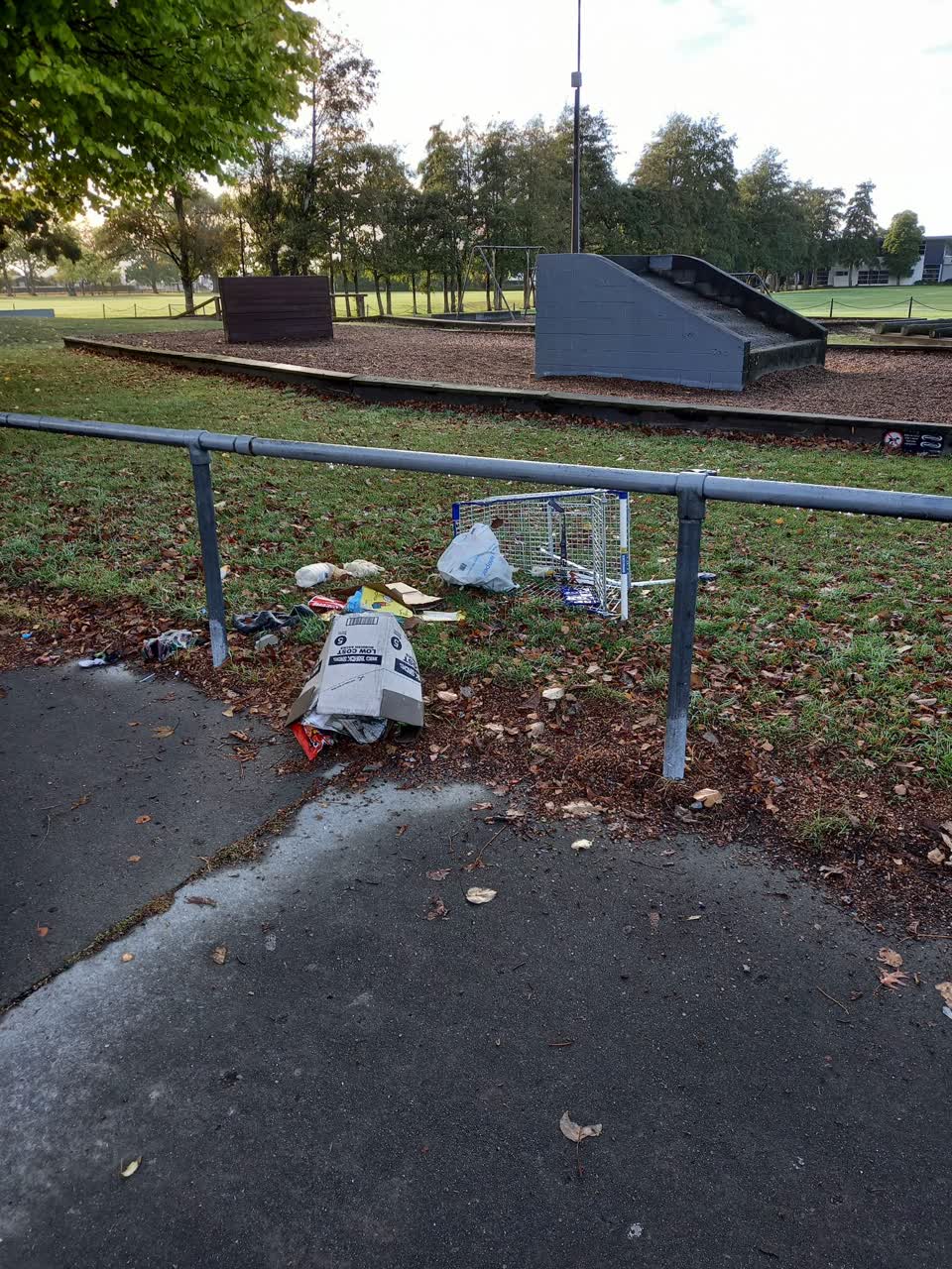 The photograph attached to this rubbish/recycling report