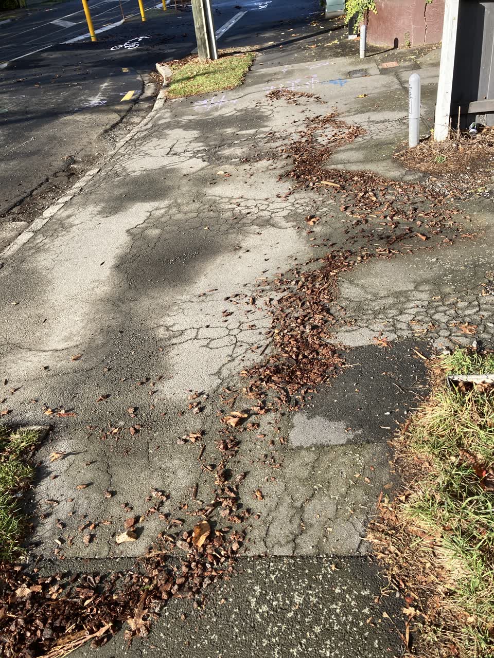 The photograph attached to this roading/streets report