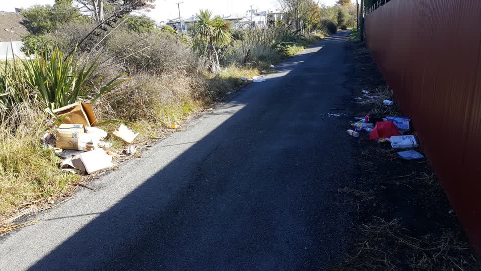 The photograph attached to this rubbish/recycling report