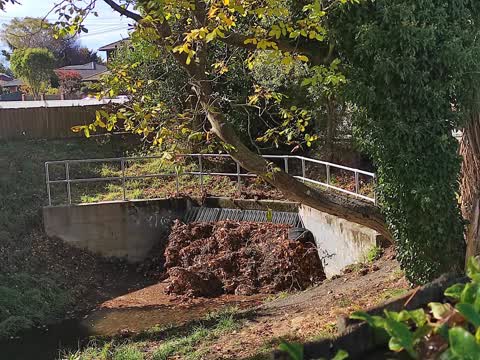 Wastewater/Stormwater, a report photo