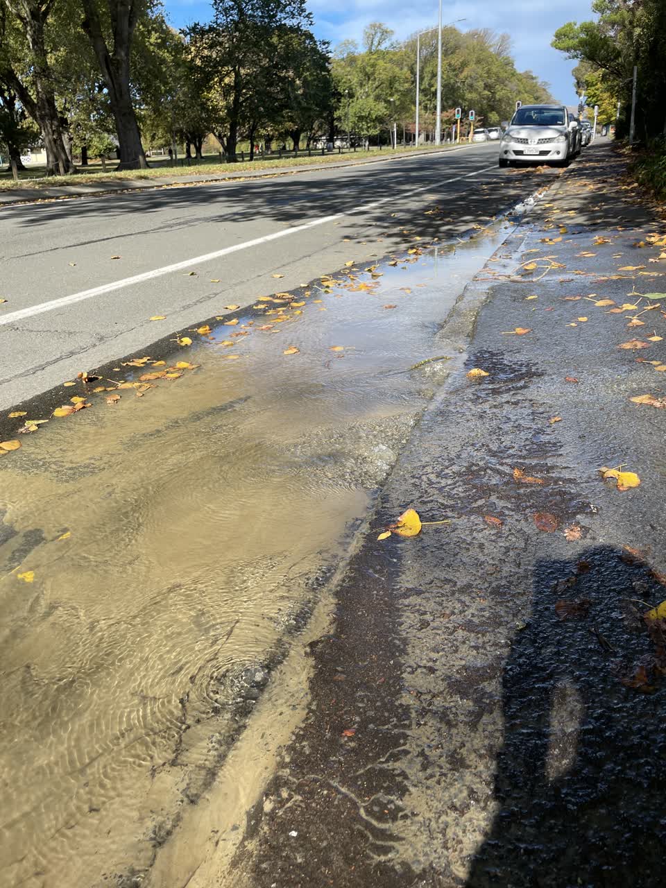 The photograph attached to this water leak report