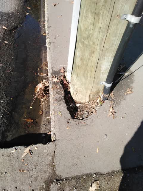 Roading/Streets, a report photo
