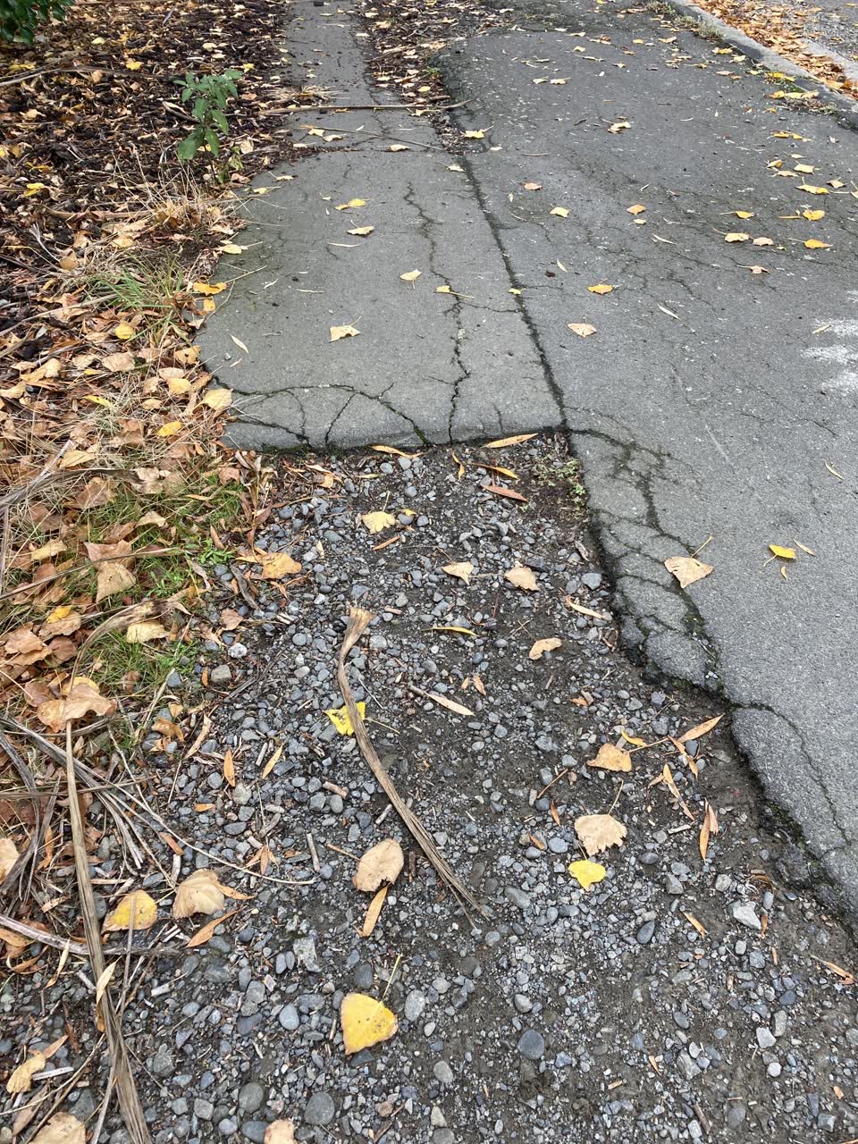 The photograph attached to this roading/streets report