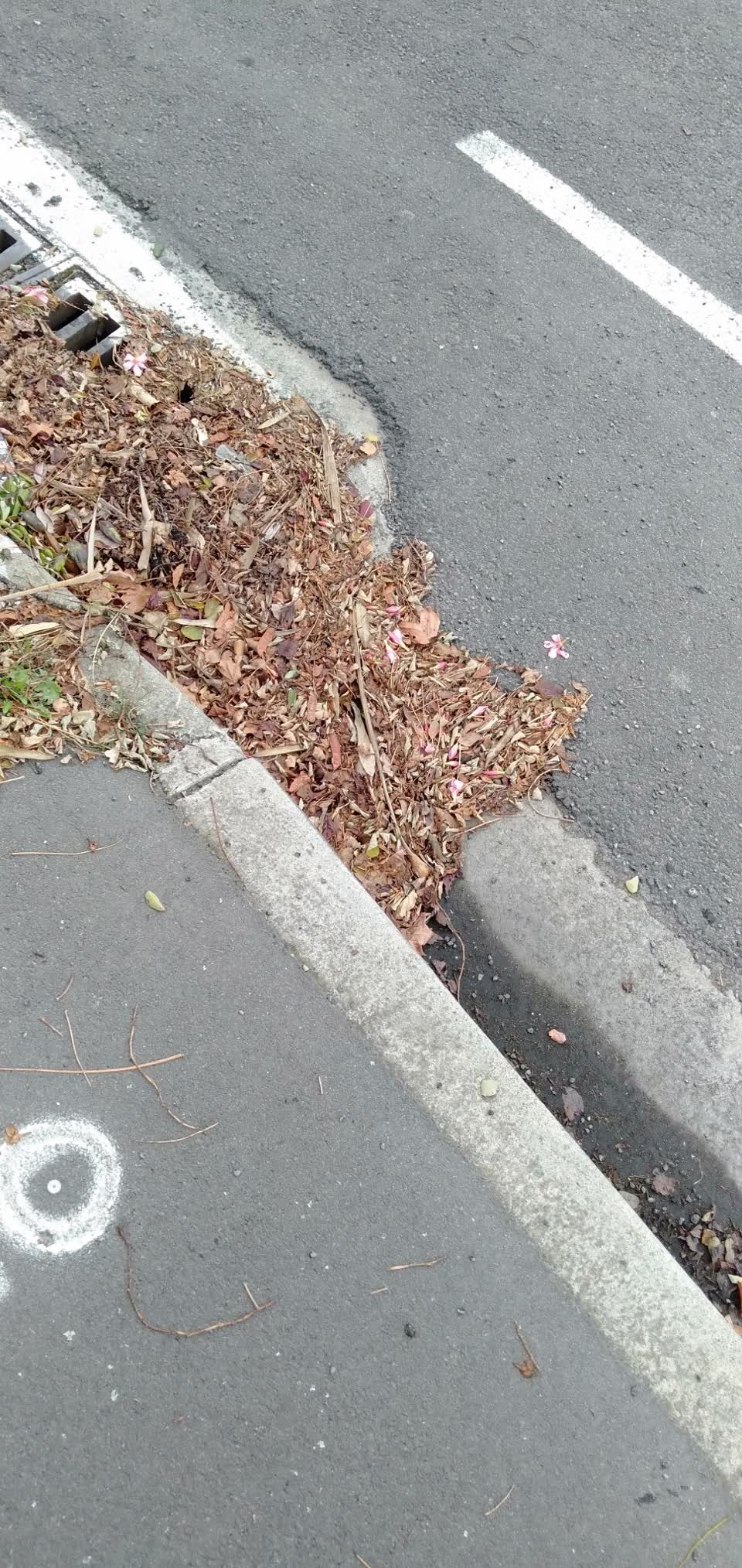 The photograph attached to this flooding report