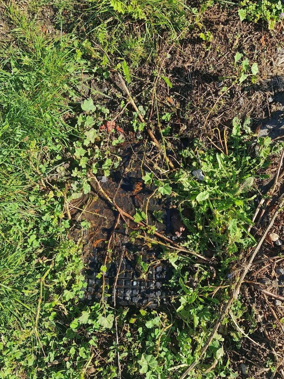The photograph attached to this water leak report